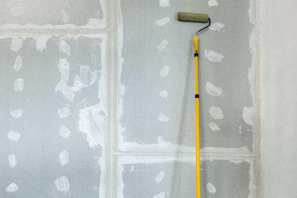 Best Mold Documentation for Insurance Claims  in Poplar Grove, IL