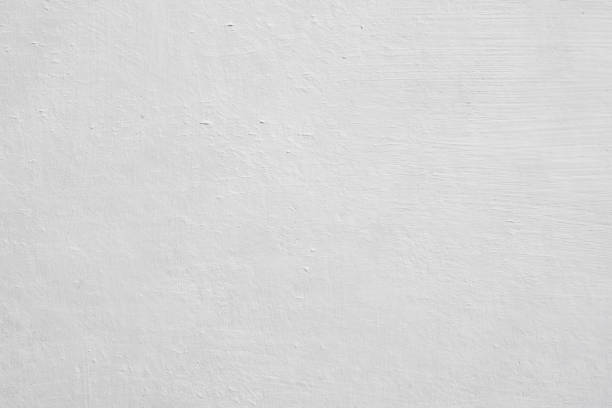 Best Basement Mold Removal  in Poplar Grove, IL